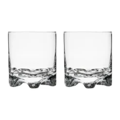 IITTALA Grogilasi 28cl 2kpl New