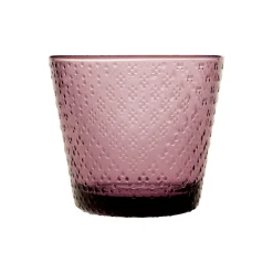 IITTALA Juomalasi 29cl 2kpl Kanerva Best