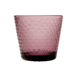 IITTALA Juomalasi 29cl 2kpl Kanerva Best