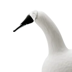 IITTALA Karjalan laulujoutsen valkoinen 330x210 New