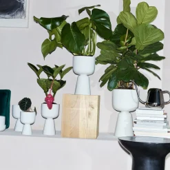 IITTALA Kastelukannu teräs 2L Teräs New