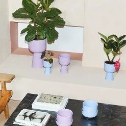 IITTALA Kukkaruukku jalallinen L Vaalea lila New