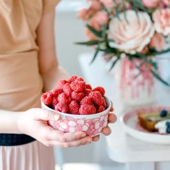 IITTALA Kulho 13cm Hot