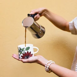 IITTALA Kuppi 0,28L Kesäsäde Hot