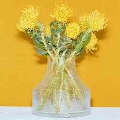 IITTALA Lasimaljakko 180x192mm Kirkas New