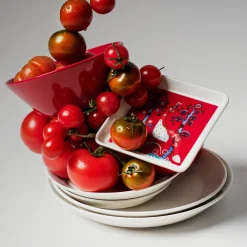 IITTALA Lautanen suorakaide 12x24cm punainen Musta New