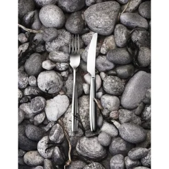 IITTALA Ruokahaarukka 2kpl New