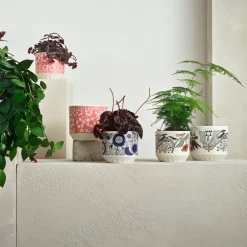 IITTALA Ruukku 120x140mm Sale