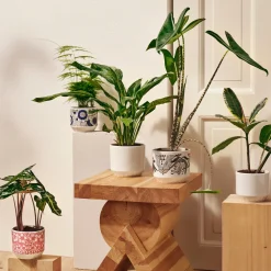 IITTALA Ruukku 120x140mm Sale