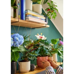 IITTALA Ruukku 120x140mm hiekka Clearance