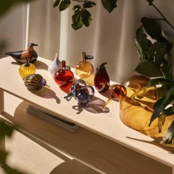 IITTALA Rypäle sade New