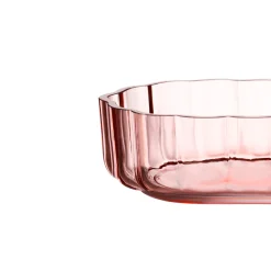 IITTALA Sisustuskulho 50mm lohenpunainen Hot