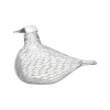 IITTALA Sovinnon kyyhky 160x110mm Clearance