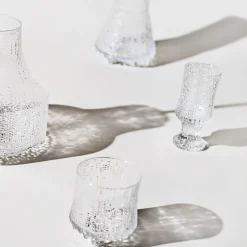 IITTALA Valkoviinilasi 16cl 2kpl Clearance